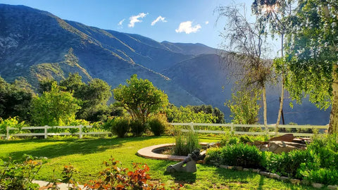 Unveiling the Wonders of Ojai, California: The Best Things to Do for an Enchanting Experience